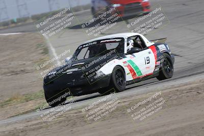 media/Oct-21-2023-Speed Ventures (Sat) [[ddf75163c5]]/Green/Grapvine/